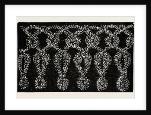 Fringe for Opera Hood and Crochet Cape by Anonymous