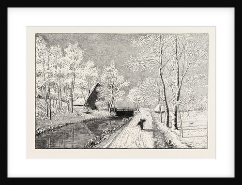 Winter Morning by Anonymous