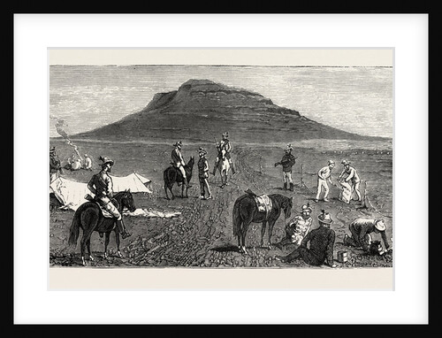 Encampment of Bettington's Horse, Conference Hill, the Zulu War by Anonymous