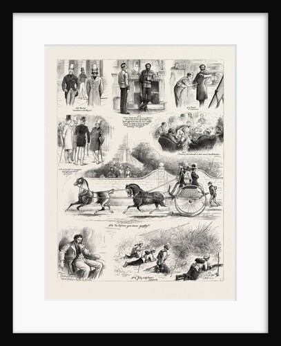 I Volunteered for the Zulu War by Anonymous