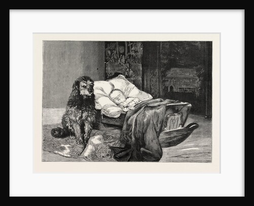 The Gorilla and Chimpanzee at the Crystal Palace, London by Anonymous