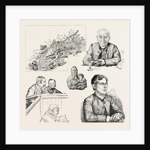Studies from Life in Ireland by Anonymous
