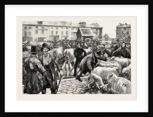 A Cattle Fair, County Galway Ireland by Anonymous