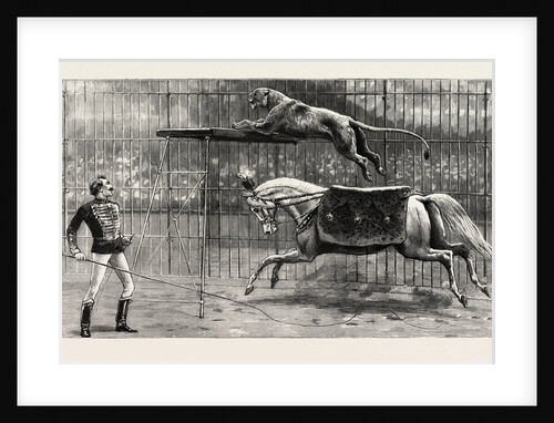 The Equestrian Lion Going Through His Performance at Covent Garden Theatre, London by Anonymous