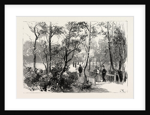 Bournemouth, View in Public Gardens by Anonymous