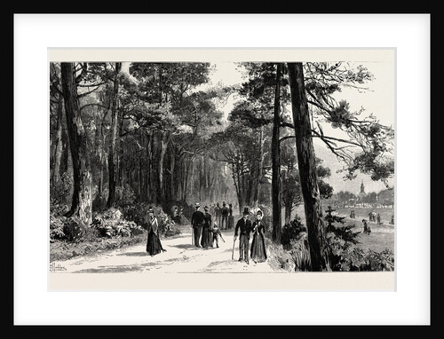 Bournemouth, the Invalids Walk in Public Gardens by Anonymous