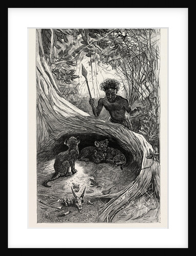 I Saw in the Hollow Between the Roots of a Big Tree Three Little Cubs About Two Months Old by Anonymous