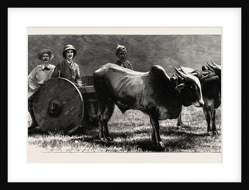 Prince Albert Victor with the Elephant King in a Jungle Waggon in Mysore, India by Anonymous