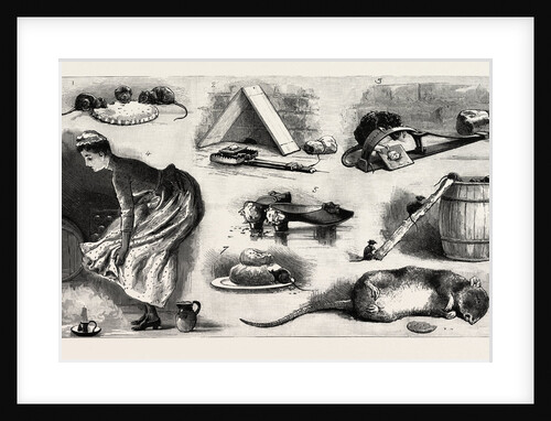 The Rat Plague in the Country, 3. La Grippe by Anonymous