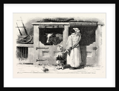 On a Peninsular and Oriental Company's Steamer by Anonymous
