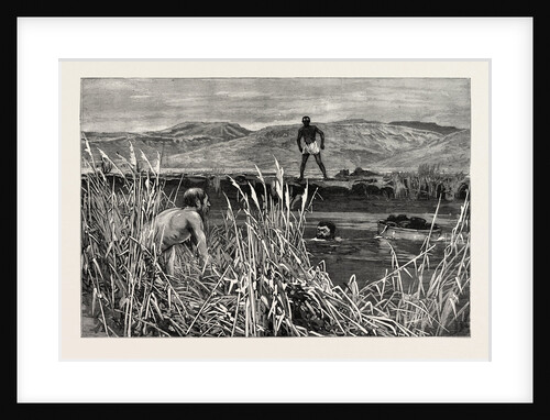 Confirmation Morning, Kaffir Land, His Lordship is Across by Anonymous
