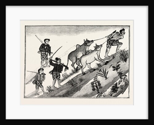 Life of a Burmese Dacoit, But on Reaching Man's Estate Joins a Band of Dacoits and Cattle Lifters by Anonymous