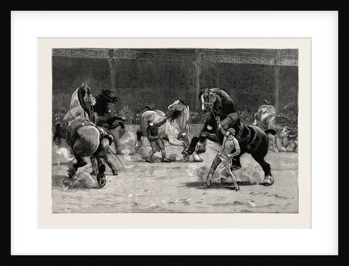 The Shire Horse Show at the Agricultural Hall, the Effect of Applause by Anonymous