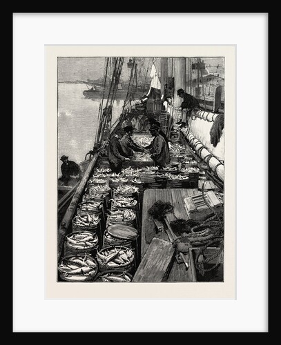 The American Fisheries Question, Dressing a Deck of Mackerel, United States by Anonymous