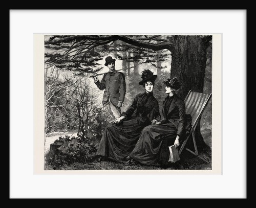 The Great Old Cedar by Anonymous