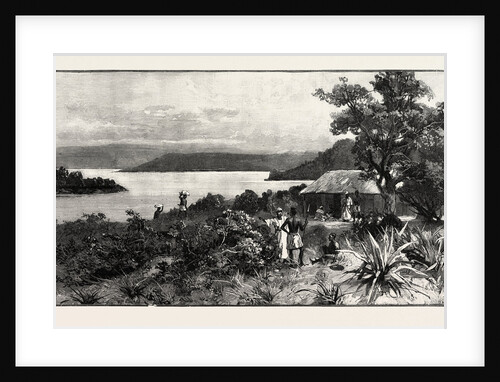 Central Africa, Kavala Island on Lake Tanganyika by Anonymous