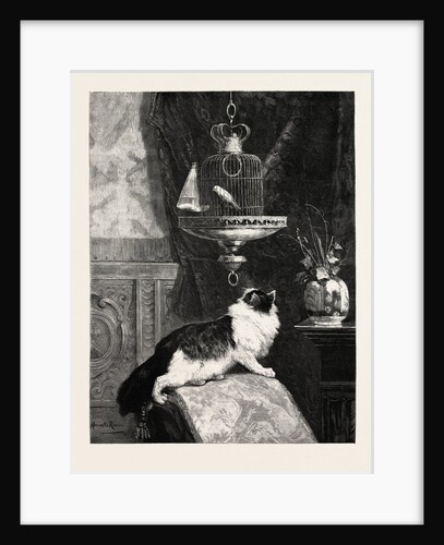 A Longing Look by Anonymous