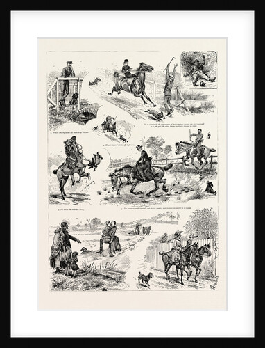 The Adventures of Two Runaway Horses, and What Came of It by Anonymous