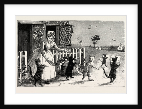 Reading Cats by Anonymous