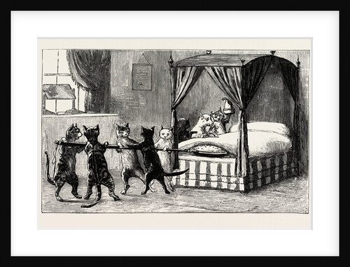 The Dame Was Unabe Her Pleasure to Smother. Cats Heating the Bed by Anonymous
