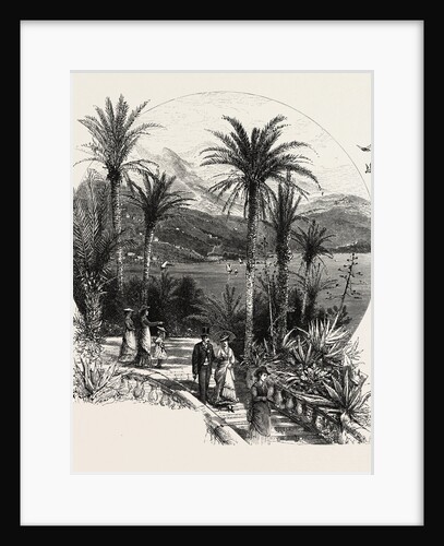 At Monte Carlo, Monaco, the Cornice Road by Anonymous