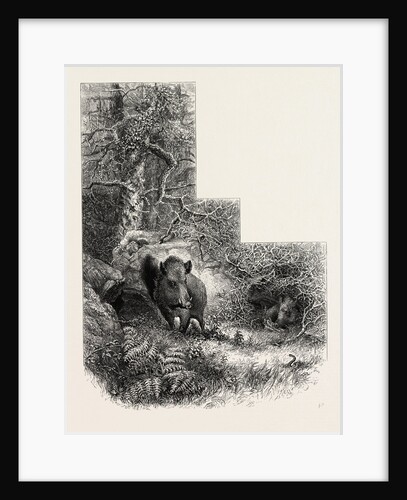 A Lair in the Forest of Fontainebleau, France by Anonymous