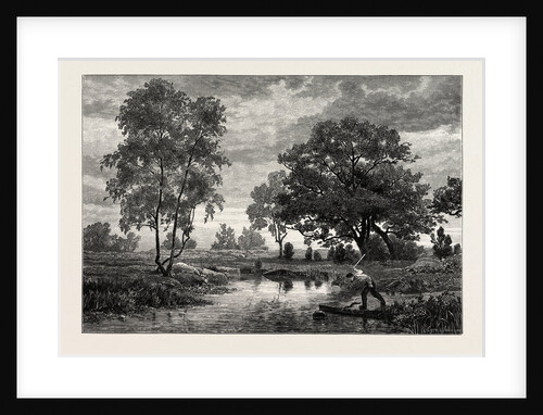 Mare Near Belle Croix, France by Anonymous
