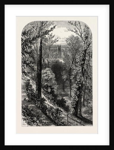 The Slopes, Windsor by Anonymous