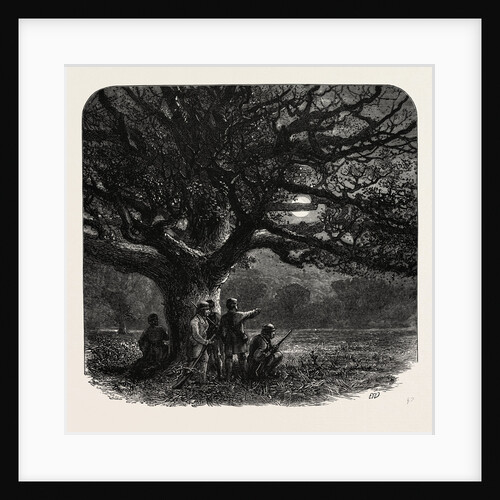 The Watch Oak, Windsor by Anonymous
