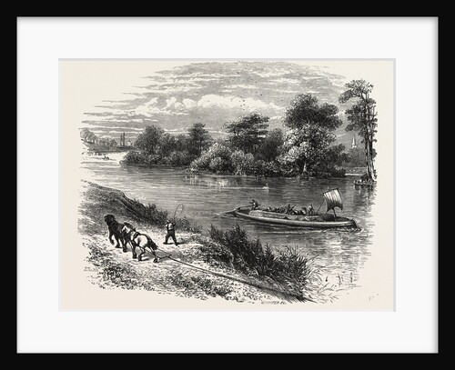 Magna Charta Island by Anonymous