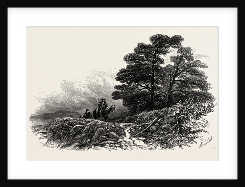 Mountain Path Near Capel Curig, North Wales by Anonymous