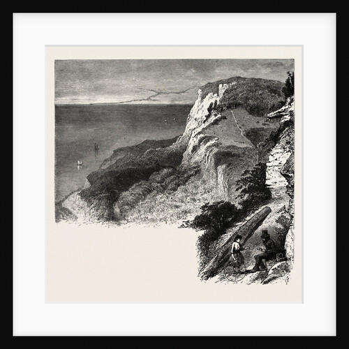 Fairlight Glen, the South Coast by Anonymous