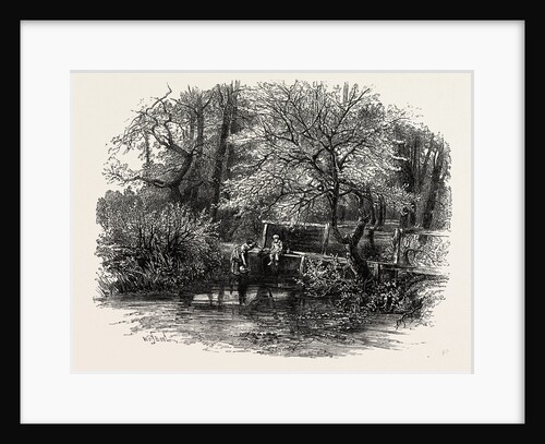 Markeaton Brook, the Dales of Derbyshire, Country by Anonymous