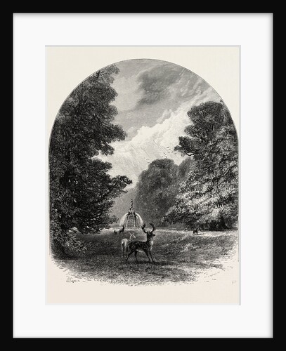 The Chestnuts in Bushey Park, the Forest Scenery of Great Britain by Anonymous