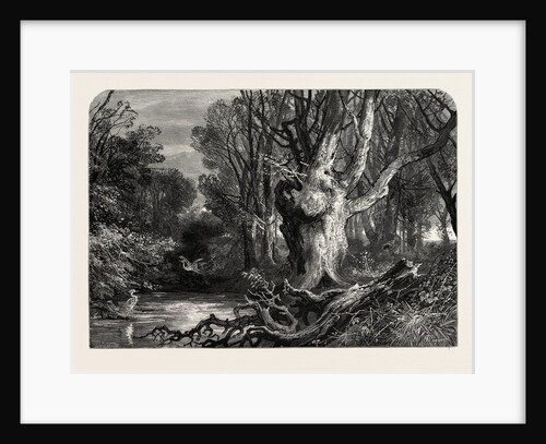 In the New Forest, Lymington by Anonymous