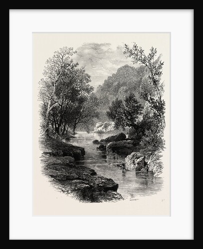 The Valley of the Wharfe, the Forest Scenery of Great Britain by Anonymous