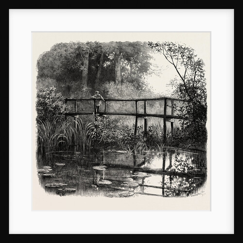 Near Godalming, the Forest Scenery of Great Britain by Anonymous