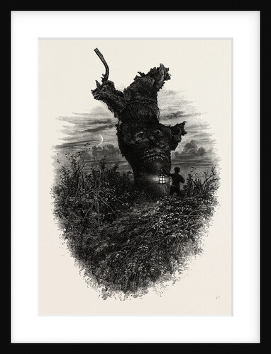 Giant Oak Near Cranbourne Tower, the Forest Scenery of Great Britain by Anonymous