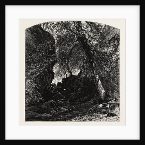 The Dargle, Ireland, Irish, Eire by Anonymous