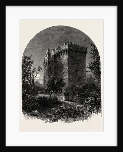 Blarney Castle, Ireland, Irish, Eire by Anonymous