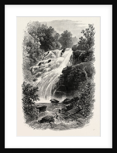 Torc Cascade, Killarney, Ireland, Irish, Eire by Anonymous