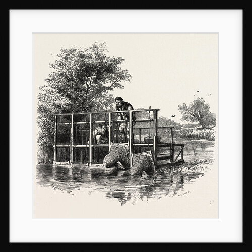 Eel Bucks on the Thames, Scenery of the Thames by Anonymous
