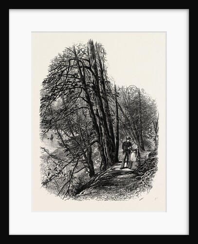 In Cliefden Woods, Scenery of the Thames by Anonymous