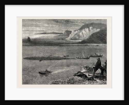 Pilchard Fishing of the Lizard, the South Coast by Anonymous