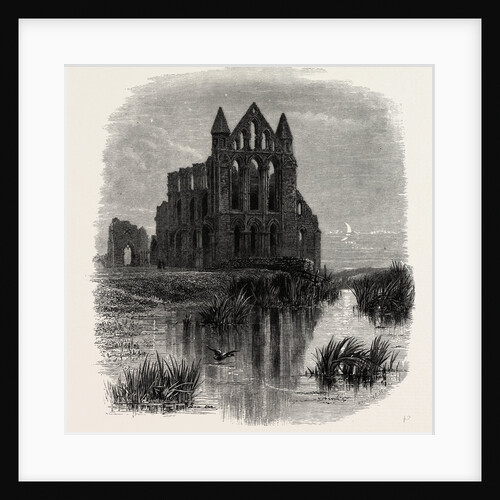 Whitby Abbey by Anonymous