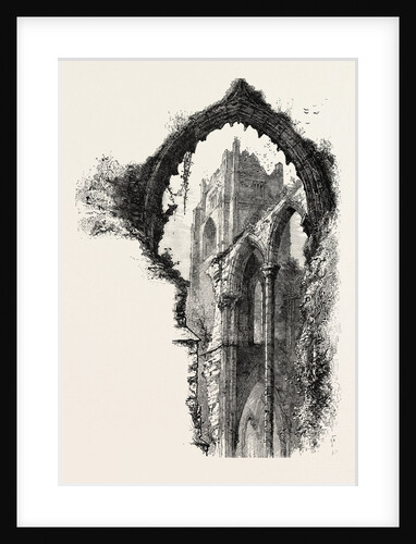 Fountains Abbey by Anonymous