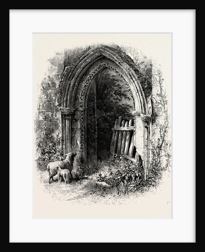 Doorway at Rivaux Abbey by Anonymous