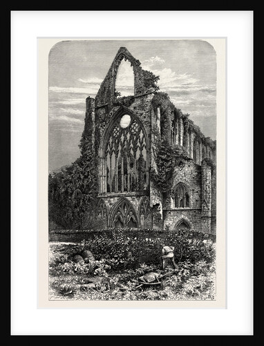 West Front of Tintern Abbey by Anonymous
