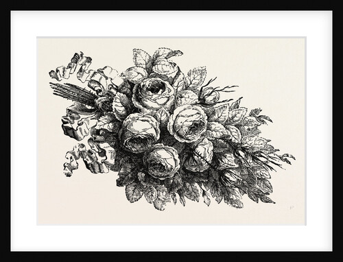 Flowers by Anonymous
