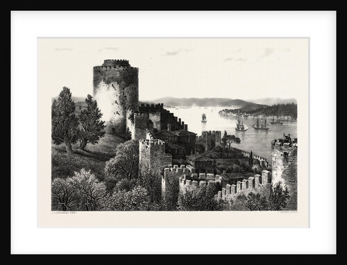 Bosphorus, Constantinople, Istanbul, Turkey by Anonymous